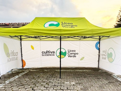 Carpa con Estructura 01