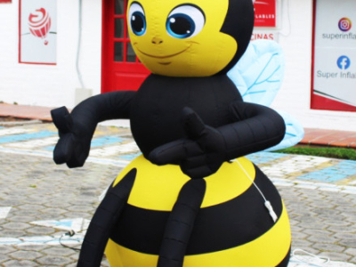 Mascota 27