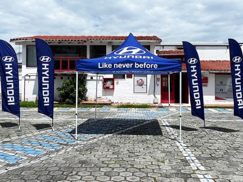 bandera 09