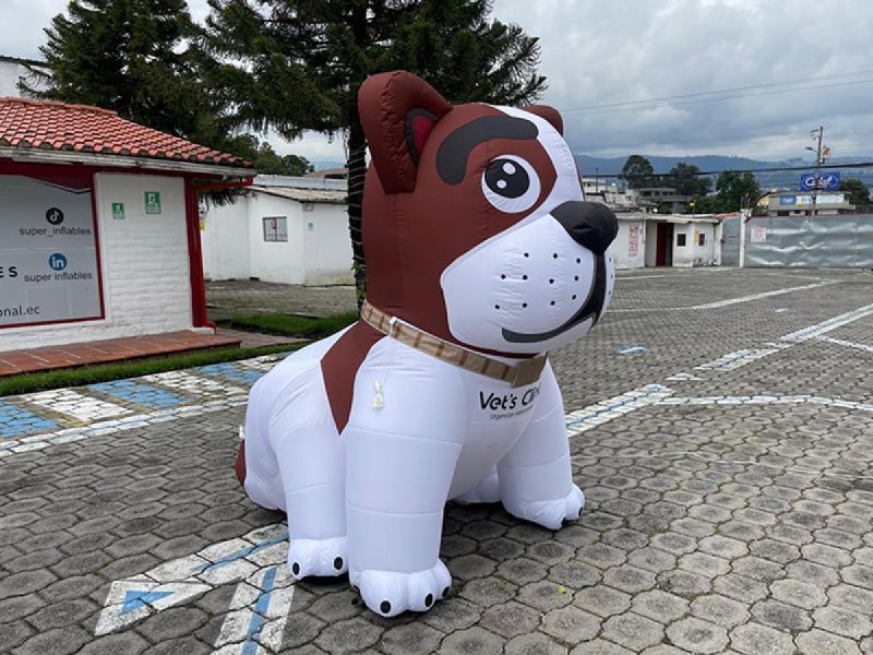 Mascota 16