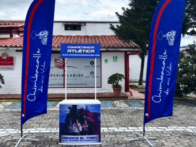 bandera 06