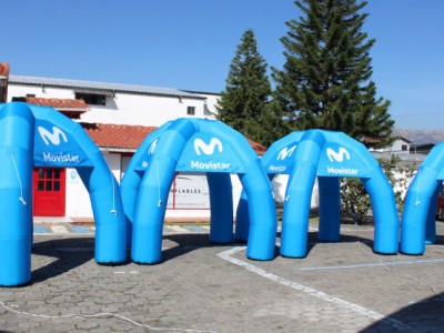 Carpa 21