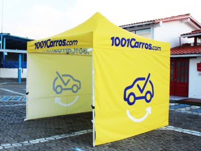 Carpa con Estructura 04