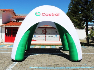 Carpa 11