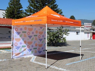 Carpa con Estructura 05