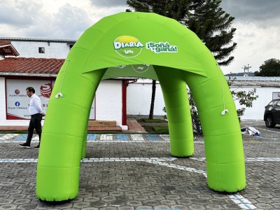 Carpa 12