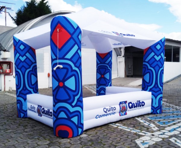 Carpa 17