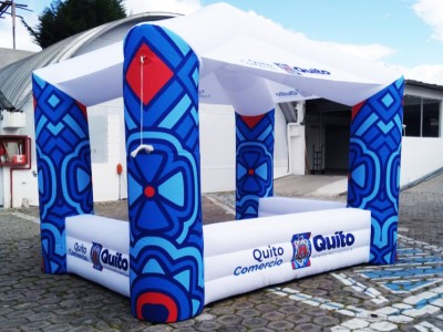 Carpa 17