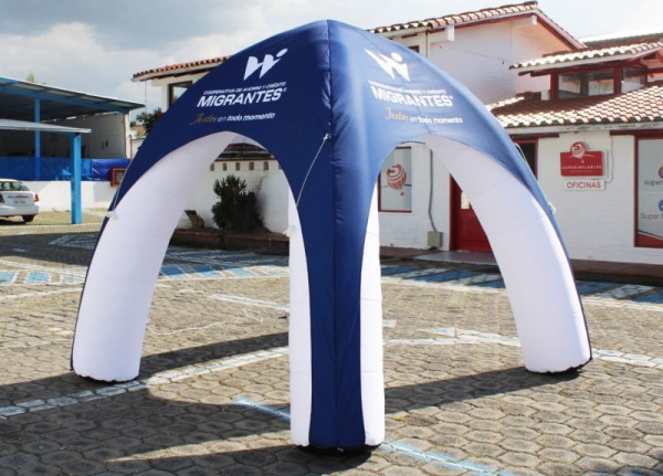 Carpa 20
