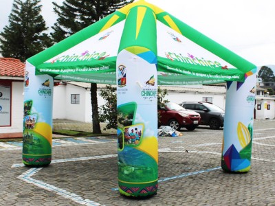 Carpa 19