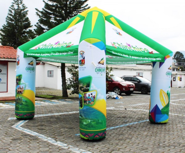 Carpa 19