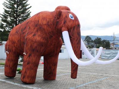 Mascota 01