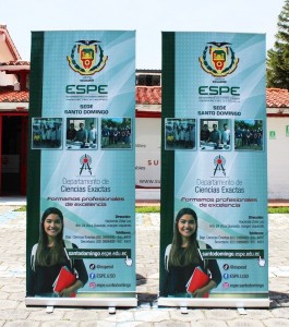 roll ups 03
